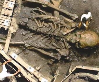 �����������������Ƭ ����Ȥ��_�׿���