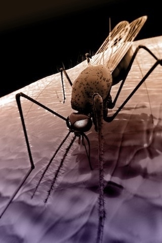 ��̾������ҽѧ3D������ͼ ����ͼƬ