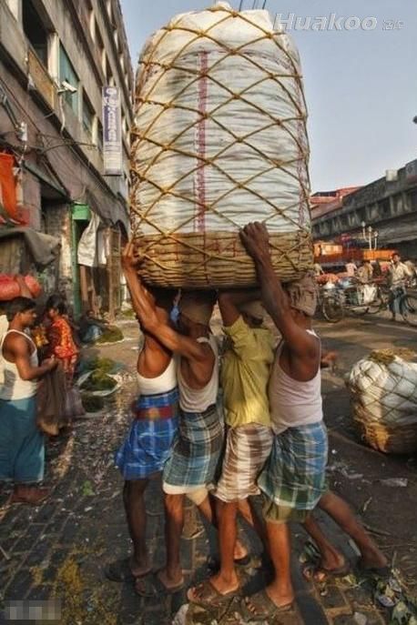 �������ڲ�������׷��� ��Ц��ͼ