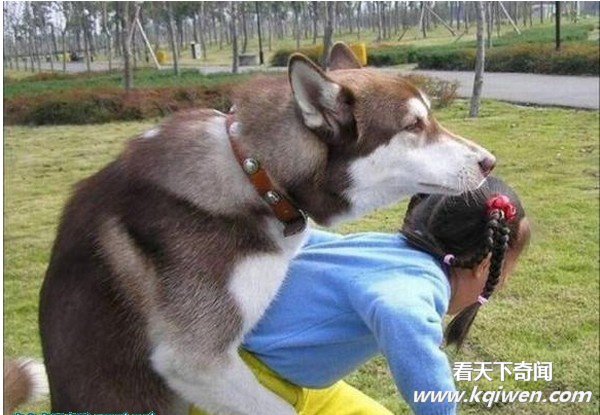 �����İ��ĳ��ͳ��� ǿ����������ͼ�̵�(��ͼ)