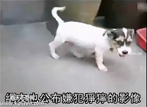 ��ɫС�������컯�����Ｆ(��ͼ)