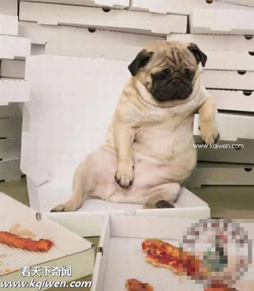 ��Ϊ���ޣ��ҵ�ѹ��Ҳ�ܴ�