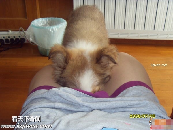 ‘色狗’性骚扰瞬间