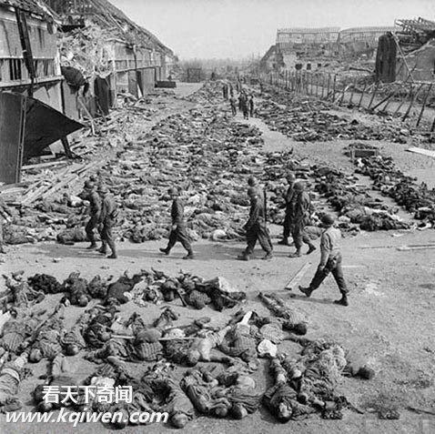 �����ɴ⼯��Ӫ��״��������ź�����ʬ��(��ͼ)